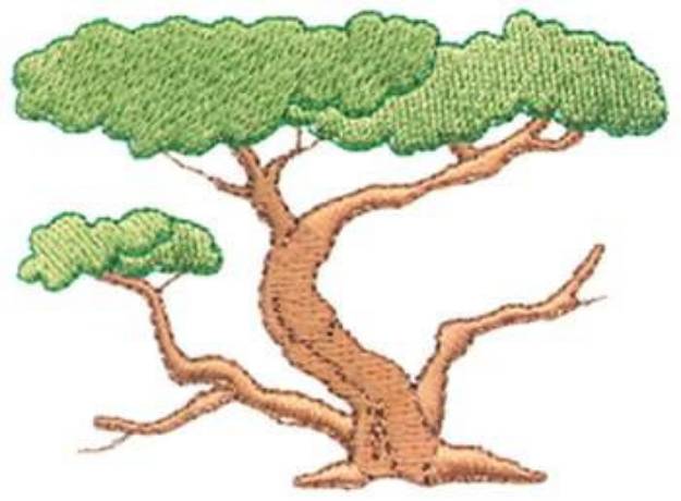 Picture of Shade Tree Machine Embroidery Design