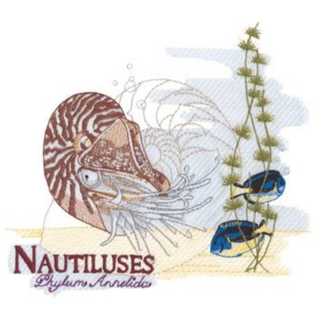 Picture of Nautiluses Machine Embroidery Design