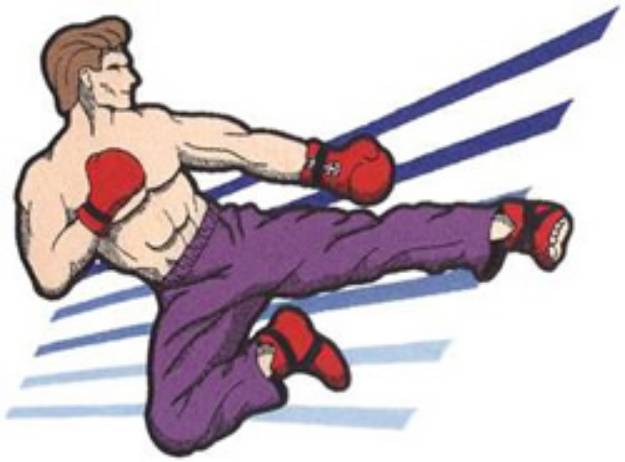 Picture of Kickboxing Machine Embroidery Design