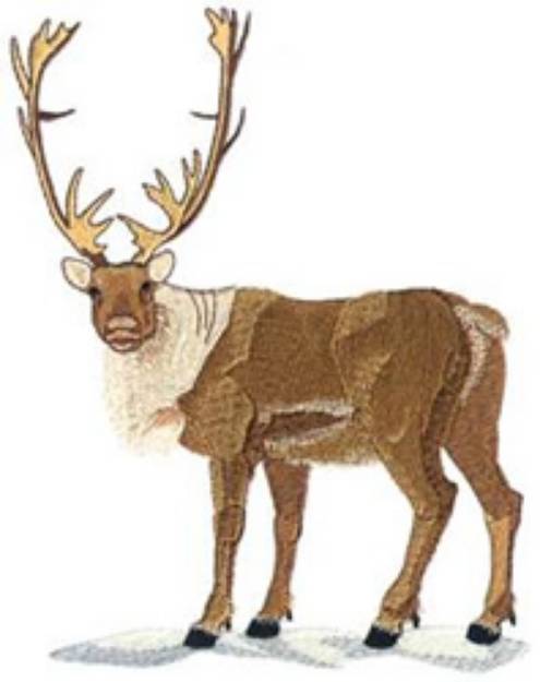 Picture of Caribou Machine Embroidery Design