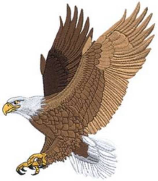 Picture of Eagle Machine Embroidery Design