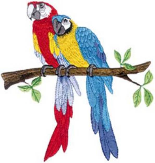 Picture of Two Macaws Machine Embroidery Design