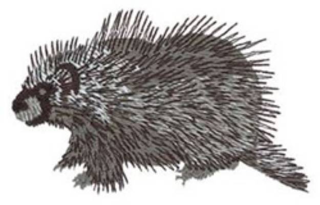 Picture of Porcupine Machine Embroidery Design