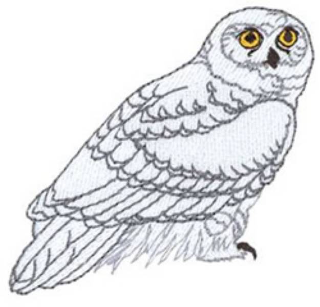 Picture of Snowy Owl Machine Embroidery Design