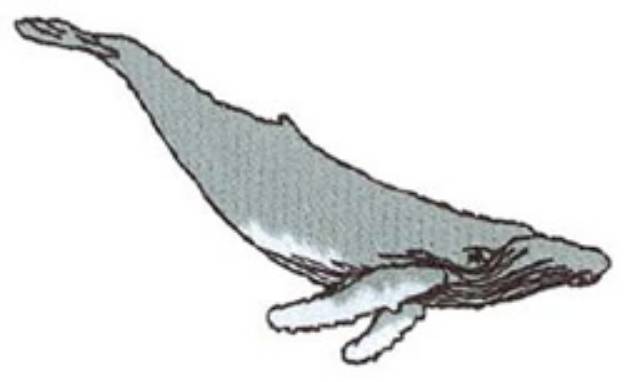 Picture of Small Humpback Machine Embroidery Design