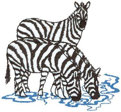 Zebras In Water Machine Embroidery Design
