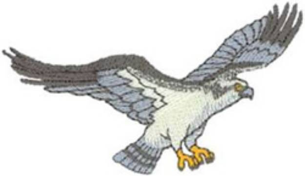 Picture of Osprey Machine Embroidery Design