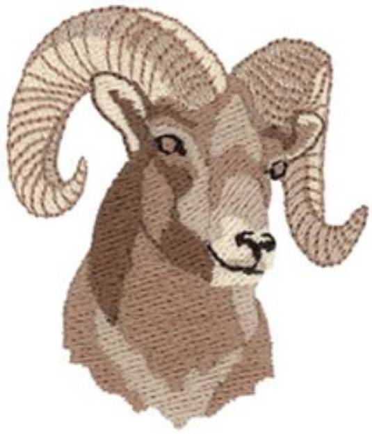 Picture of Bighorn Sheep Machine Embroidery Design