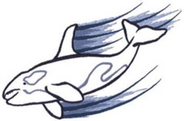 Picture of Killer Whale Machine Embroidery Design