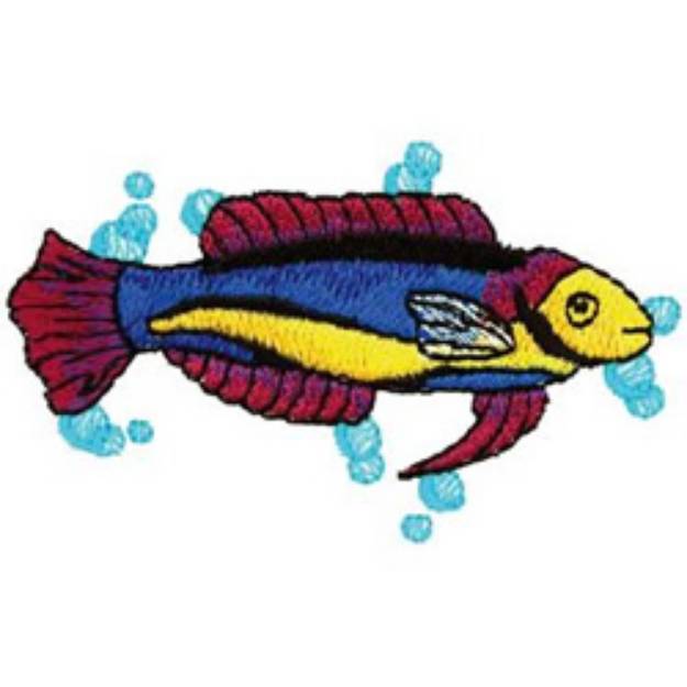 Picture of Wrasse Fish Machine Embroidery Design