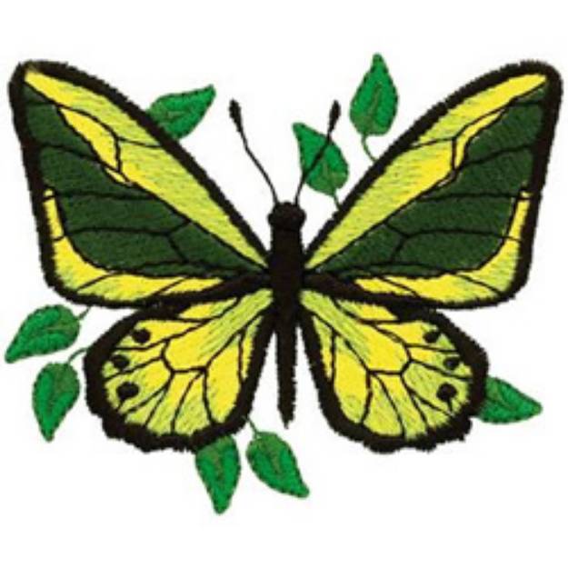 Picture of Birdwing Butterfly Machine Embroidery Design