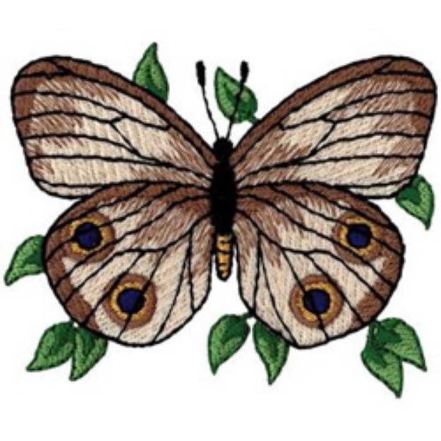 Picture of Catops Butterfly Machine Embroidery Design