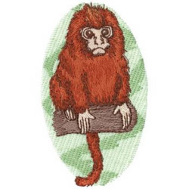 Picture of Golden Lion Tamarin Machine Embroidery Design