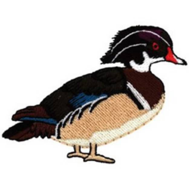 Picture of Wood Duck Machine Embroidery Design