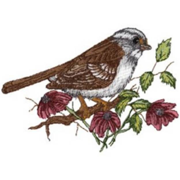 Picture of White Throated Sparrow Machine Embroidery Design