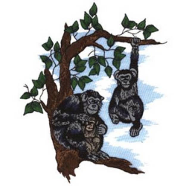 Picture of Chimpanzees Machine Embroidery Design