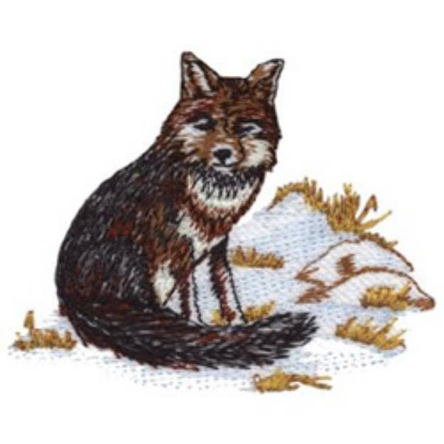 Picture of Gray Fox Machine Embroidery Design