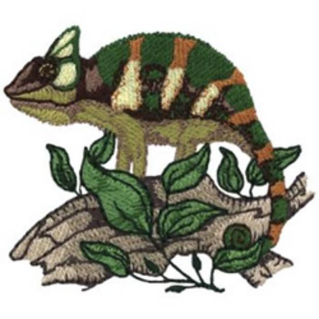 Picture of Veiled Chameleon Machine Embroidery Design