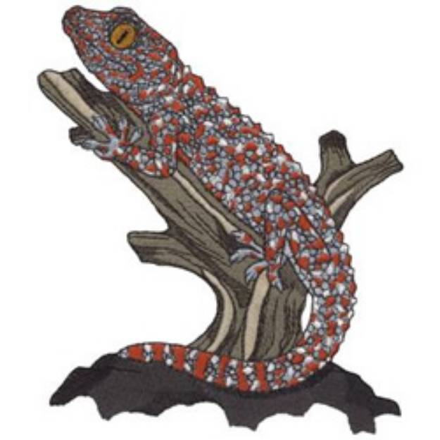 Picture of Tokay Gecko Machine Embroidery Design