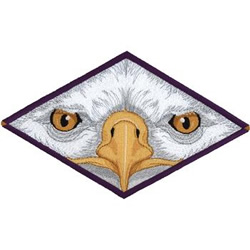 Eagle Eyes Machine Embroidery Design