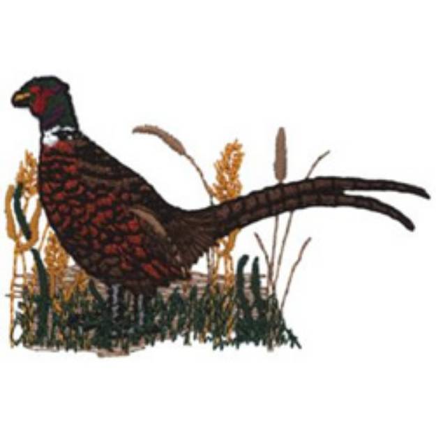 Picture of Pheasant Machine Embroidery Design