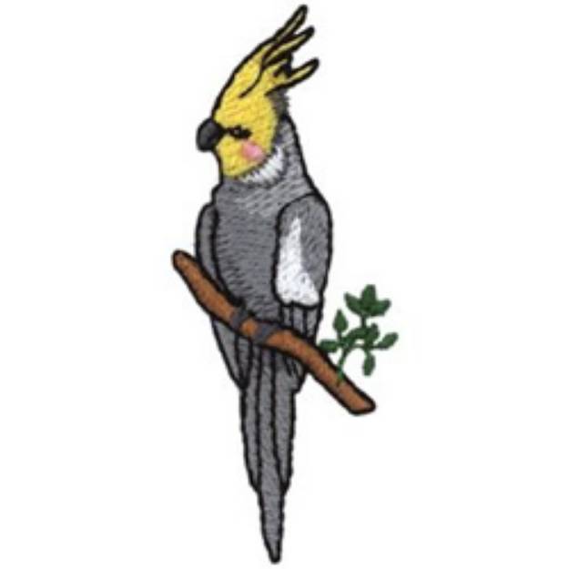 Picture of Cockatiel Machine Embroidery Design