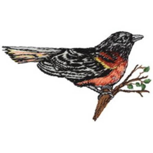 Picture of Baltimore Oriole Machine Embroidery Design