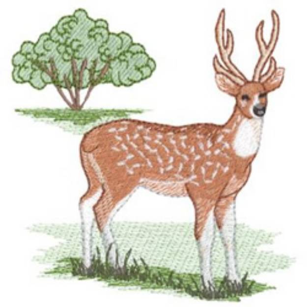 Picture of Axis Deer Machine Embroidery Design