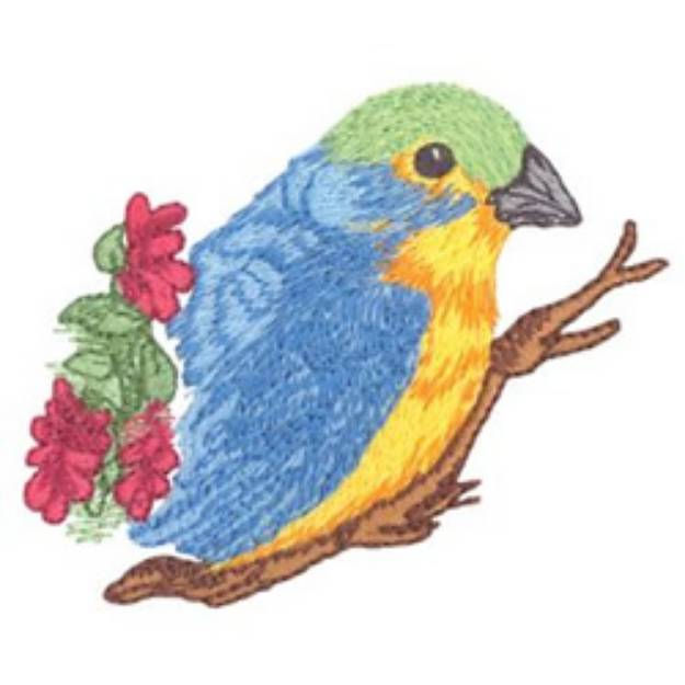 Picture of Orange Breasted Bunting Machine Embroidery Design