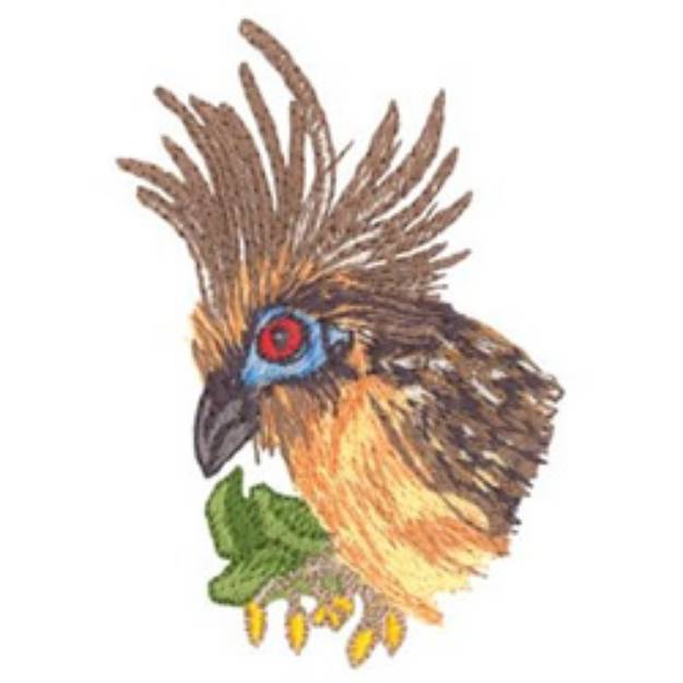 Picture of Hoatzin Machine Embroidery Design