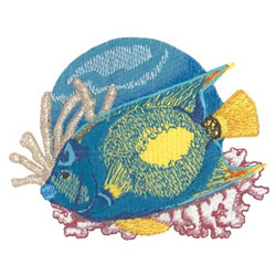 Queen Angelfish Machine Embroidery Design
