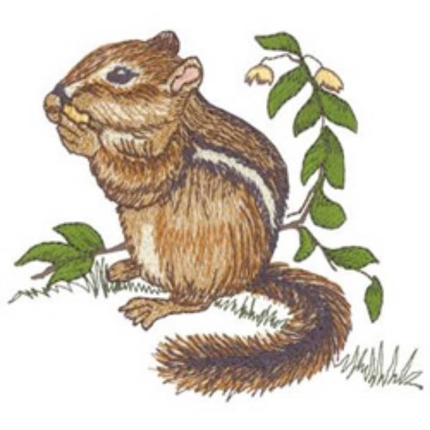 Picture of Chipmunk Machine Embroidery Design