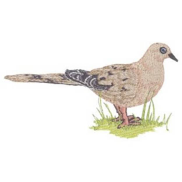 Picture of Mourning Dove Machine Embroidery Design