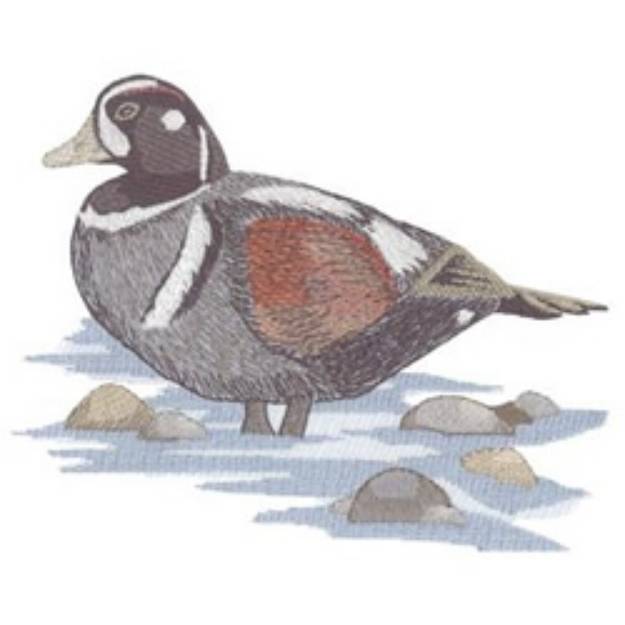 Picture of Harlequin Duck Machine Embroidery Design