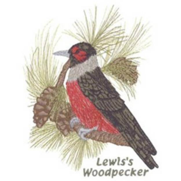 Picture of Lewis Woodpecker Machine Embroidery Design