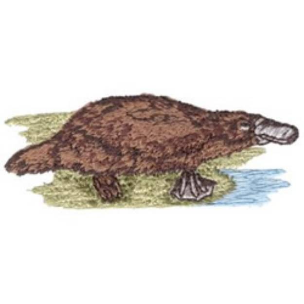 Picture of Platypus Machine Embroidery Design