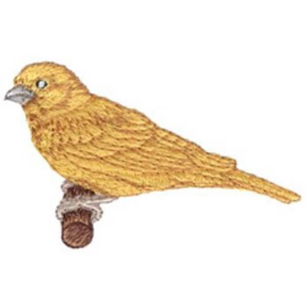 Picture of Canary Machine Embroidery Design