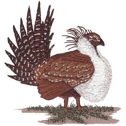Sage Grouse Machine Embroidery Design