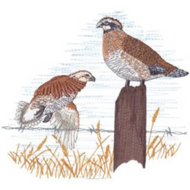 Picture of Bobwhites Machine Embroidery Design