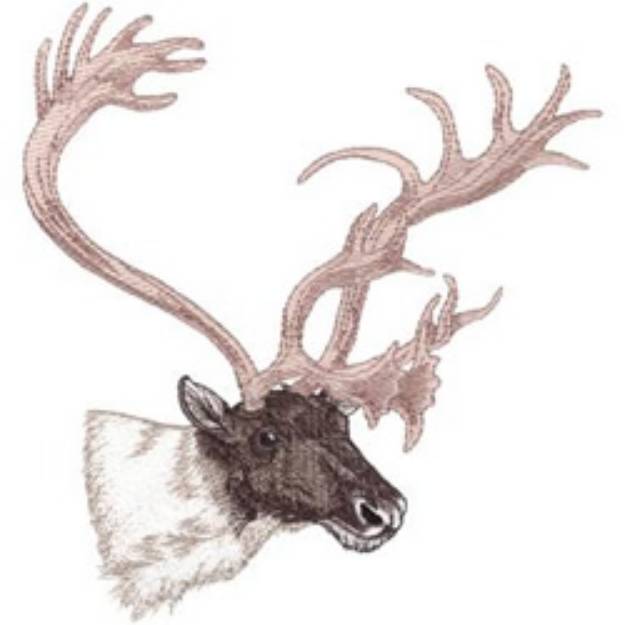 Picture of Caribou Head Machine Embroidery Design