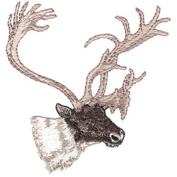Caribou Machine Embroidery Design