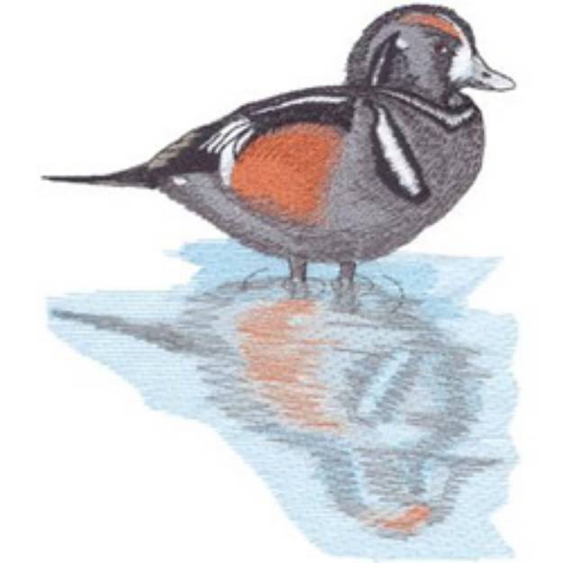 Picture of Harlequin Duck Machine Embroidery Design