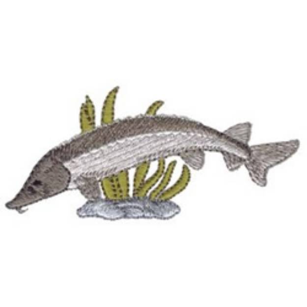 Picture of Lake Sturgeon Machine Embroidery Design