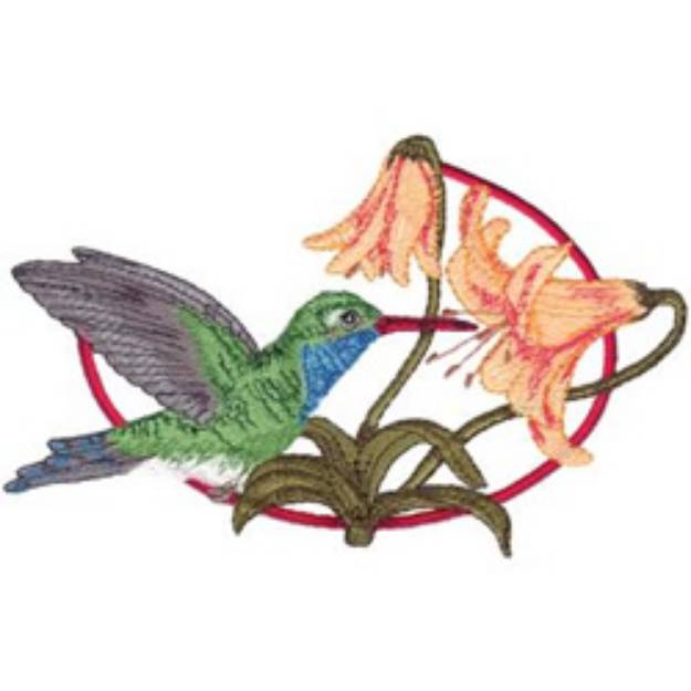 Picture of Broad-billed Hummingbird Machine Embroidery Design