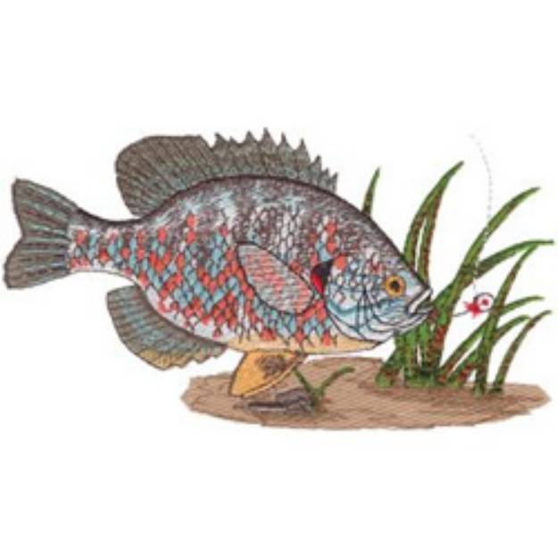 Picture of Pumpkinseed Machine Embroidery Design