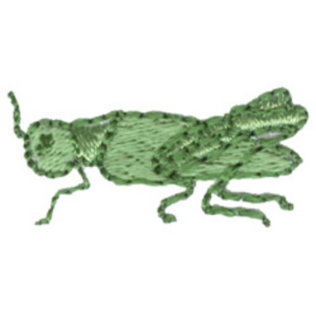 Picture of Grasshopper Machine Embroidery Design