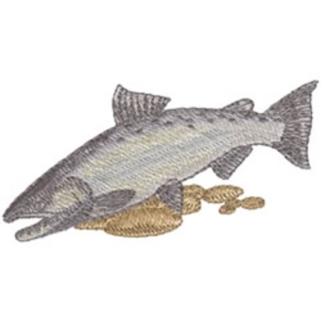 Picture of Chinook Salmon Machine Embroidery Design