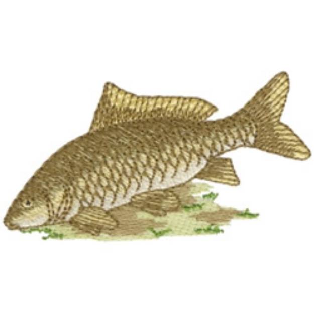 Picture of Carp Machine Embroidery Design