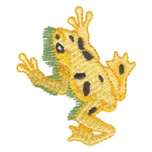 Picture of Golden Poison Frog Machine Embroidery Design