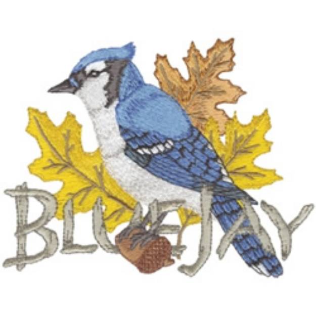 Picture of Blue Jay Machine Embroidery Design